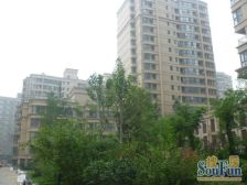 新上!曼哈顿 朝南一房 精装修 业主诚心出售 随时看房