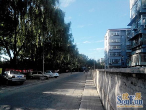 西辛北区实景图