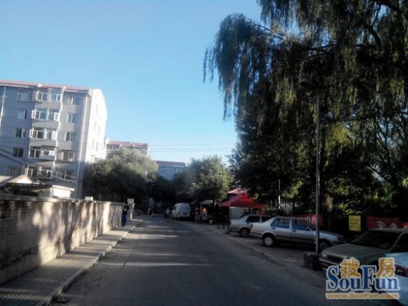 西辛北区实景图