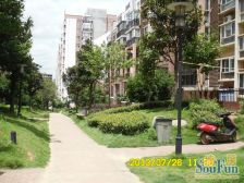 沿海丽水佳园 南北通透,采光好 装修好,环镜优美 视野好,诚心出售