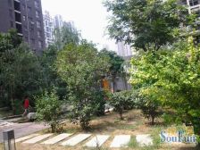 美景鸿城一期 2室1厅 南 北