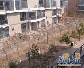 桥华世纪村尚华园一带二带院精装领包入住