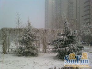 燕化星城健德四里3室2厅南北