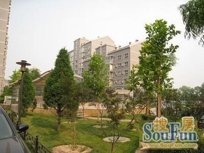 新海苑实景图