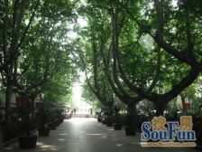 防疫路5号 1室0厅 东 西