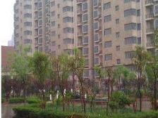 金水主城区 电梯小高层 低密小区 诚心出售