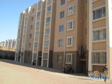 此房采光好,位置好,楼层好,出入便利,购物便利