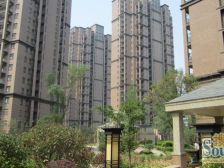 中州大道 橡树玫瑰城 双层复式 5室两厅附带露台