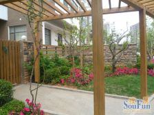 西打头洋房,南北通透,三房朝阳,采光好,无遮挡