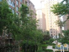 近马兰高新 锦绣暖山 跃层产品 带阁楼 南北通厅