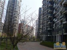 房主诚心出售,多层洋房,封闭式小区,人车分流