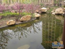 星河湾畅园 5室2厅 南 北