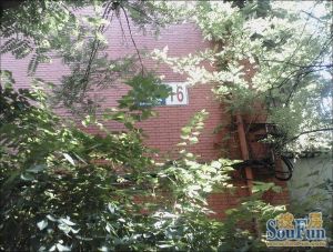 新源街生态小区一层一居室一室一厅全南明厨明卫