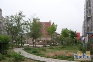 银海星月小区,2004年商品房,六层的板楼小区