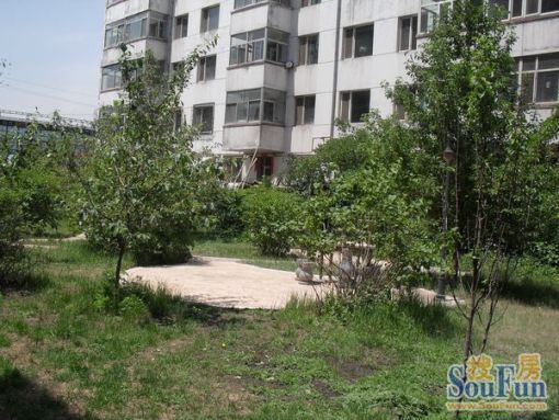  ú�����С��2��1��1���ϱ�����1200.00Ԫ/�³��� 
