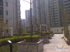 丰产路93号院 2室1厅 南