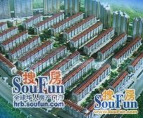 南岗区自兴街盛世桃园南北通透·采光好