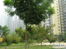 楼层高,采光好,视野好,周边配套完善,居住舒适