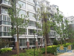 东城区南二环杨家园西里南北通透三居室看房提前约