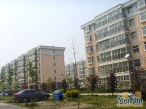 禾香雅园二期2室1厅南北
