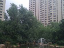 圣荷西四室两卫 跃层 观赏山体公园