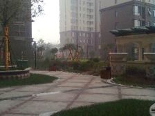 有电梯,采光充足,中海物业,近地铁,交通便利