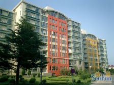 一梯两户 高楼层 公摊小 南北带阳台 落地窗采光好