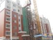 正大利农六号实景图
