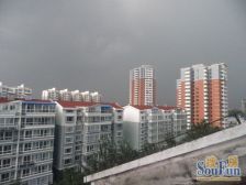 房子是个复式结构,户型方正 全天采光 视野开阔