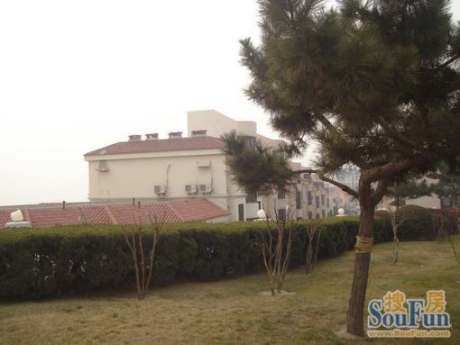  ��ɽС��2��1��1���ϱ�����2400.00Ԫ/�³��� 