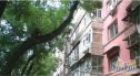 北新桥三条实景图