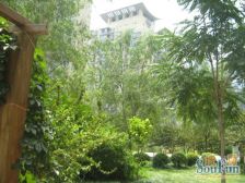 国典华园 3室1厅 南