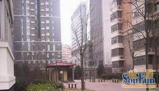 大羊坊10号实景图
