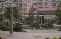 枫桦豪景实景图
