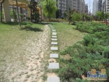 鲁能领秀城中央公园东区 3室1厅 南 北