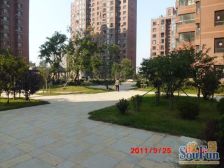 晶品枫林 三室一厅 精装修 采光充足