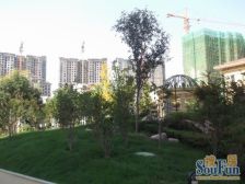 满五年 顶楼复式 带露台精装修得房率高