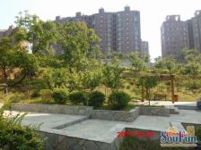 晶品枫林南向一室一厅精装修保持干净楼层好采光充足