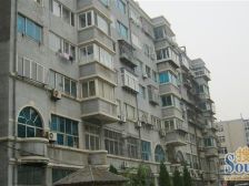 金星公寓 3室2厅 南 北