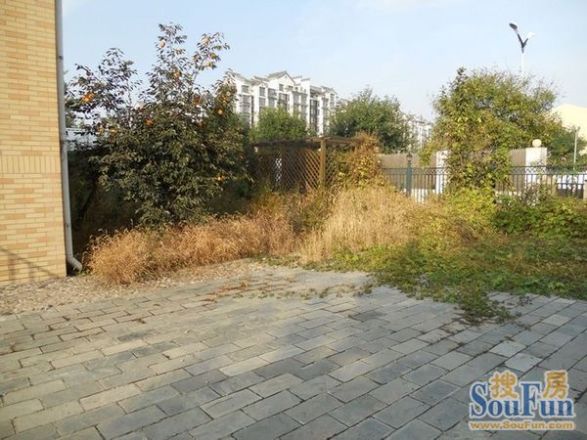 德国印象实景图