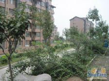 建大花园 3室2厅 南 北