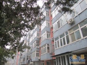 外交学院南北通透低楼层精装修