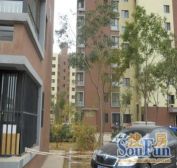 紫金新园三区南向两居室中间楼层采光好