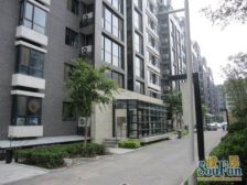 丽都东镇滨河1号1室0厅东
