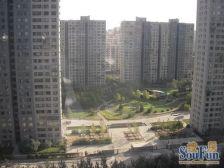 双井·苹果社区北区·1室·1厅