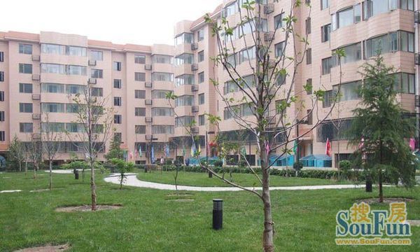 英嘉公寓实景图