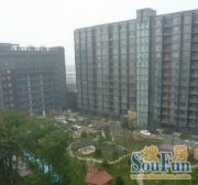 新华联丽港51.88平,诚心卖
