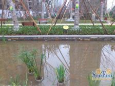 双山 中交丽景四房