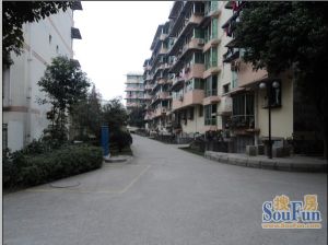 九鼎小区3室1厅东南南