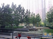 东城区,二环内,商品房社区,总高11层,一梯两户